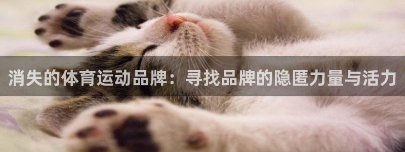 球速体育app：消失的体育运动品牌：寻找品牌的隐匿力量与活力