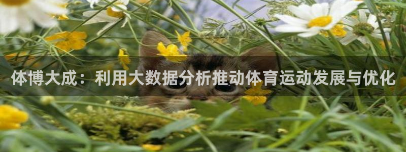 球速体育qiusu：体博大成：利用大数据分析推动体育运动发展与优化