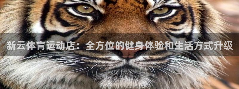 球速体育客服：新云体育运动店：全方位的健身体验和生活方式升级