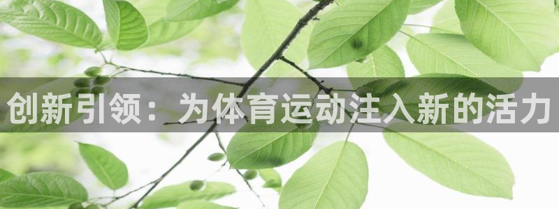 球速体育app官方点b855’in：创新引领：为体育运动注入新的活力