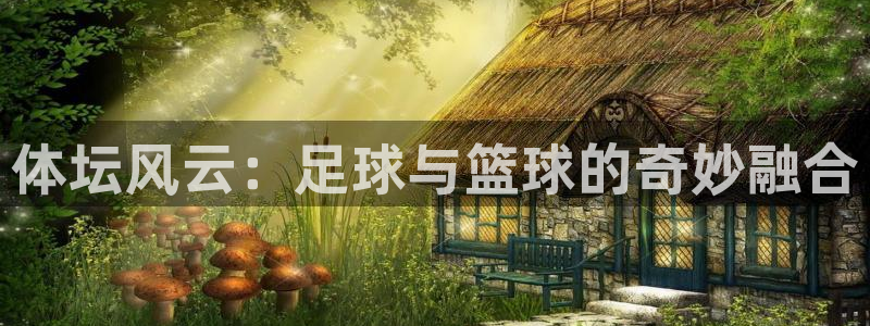 球速体育输入x655 in：体坛风云：足球与篮球的奇妙融合