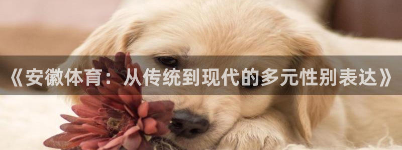 welcome球速体育：《安徽体育：从传统到现代的多元性别表达》