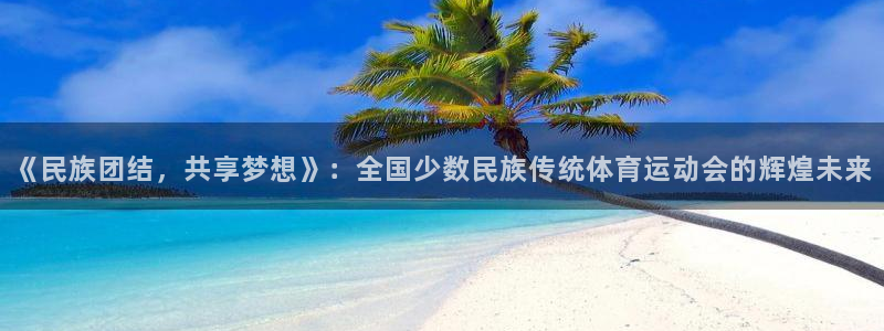 球速体育输钱：《民族团结，共享梦想》：全国少数民族传统体育运动会的辉煌未来