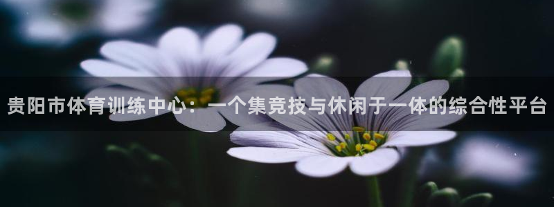 球速体育官网：贵阳市体育训练中心：一个集竞技与休闲于一体的综合性平台